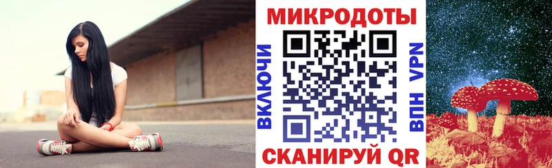 Псилоцибиновые грибы Psilocybe  Купить закладки  Тимашёвск 